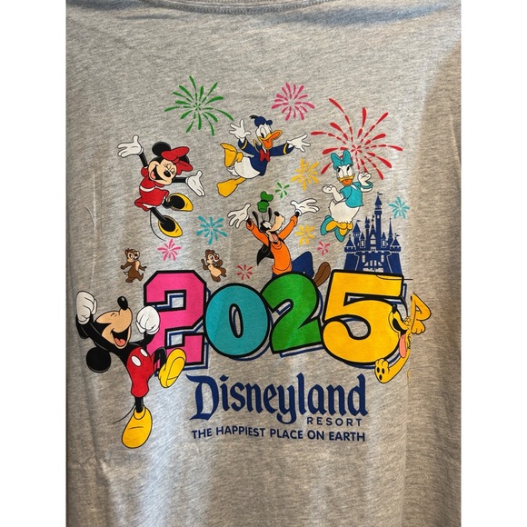 Disneyland Resort Mickey & Friends 2025 Shirt - Picture 4 of 6